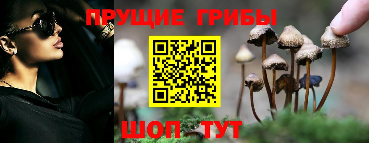 где найти наркотики  Галлюциногенные грибы мухоморы  Псилоцибиновые грибы прущие грибы  Вход с VPN  Славянск-на-Кубани 